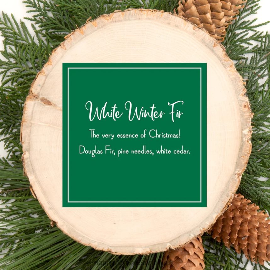 decoration | National Tree Company Scented Ornaments 2 Pack- 6ct Bottle White Winter Fir Fragrance-Infused Paper Sticks F2L4F541